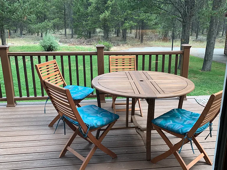 Back patio overlooking forest