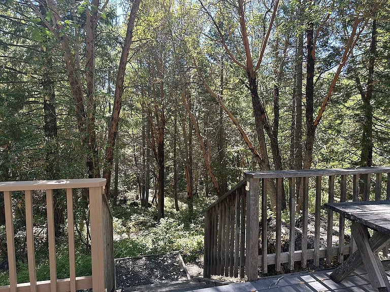 off back deck
