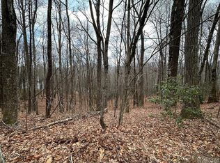 43 Locust Ct #28774, Sapphire, NC 28774