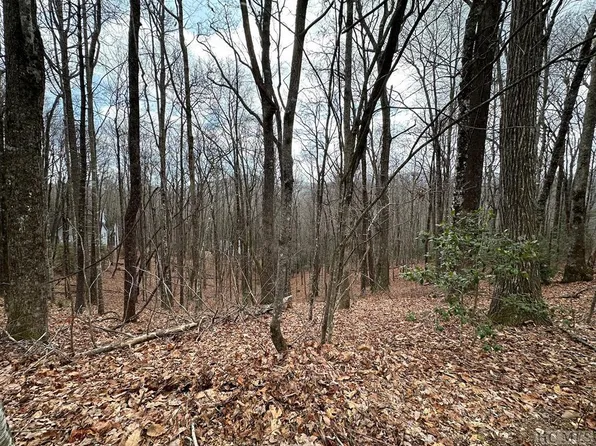 Lot 37 Locust Court, Sapphire, NC 28774