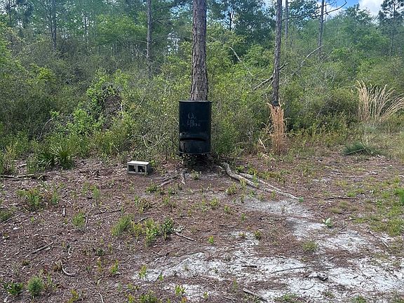 4th image of 0000 Jody Morgan Rd