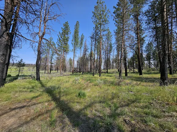 Parazoo Trail Block Lot 2-8, Bly, OR 97622