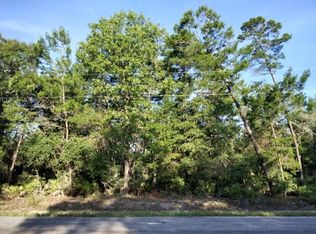 Sequoia Trail Ter LOT 4, Ocklawaha, FL 32179