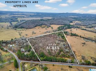 0 Turner Mill Rd E #0, Munford, AL 36268