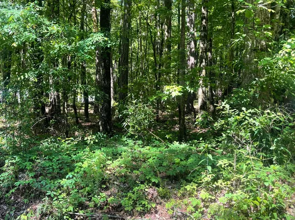 366 Lower Bottom Rd, Alexander City, AL 35010