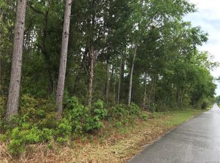 1420 N Rabeck Ave, Lecanto, FL 34461