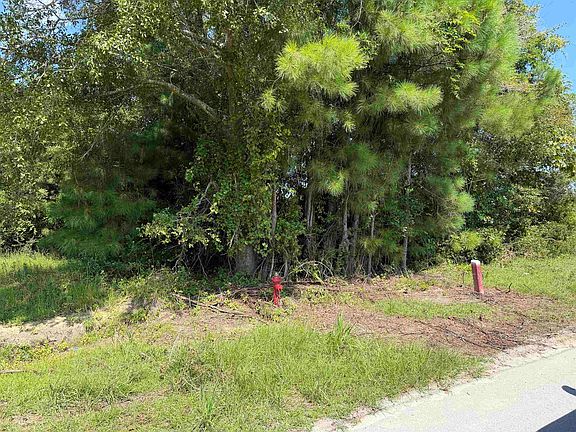 4th image of 175 Dove Rd.