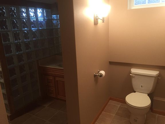 Lower level bathroom