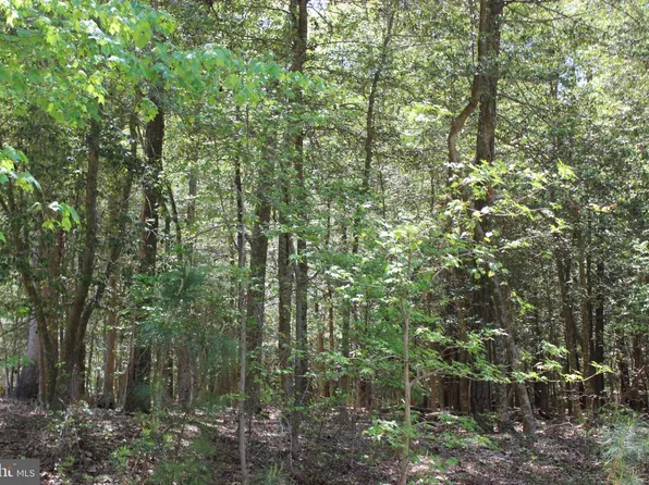 1780 Yeoman Ct, Greenbackville, VA 23356