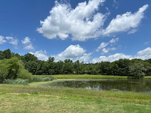 497 Fox Creek Dr — Photo 28