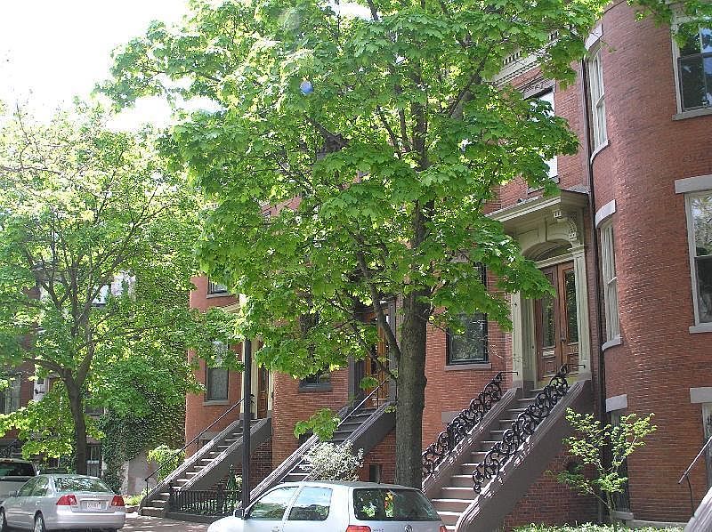 2nd image of 42 Worcester Sq APT 8