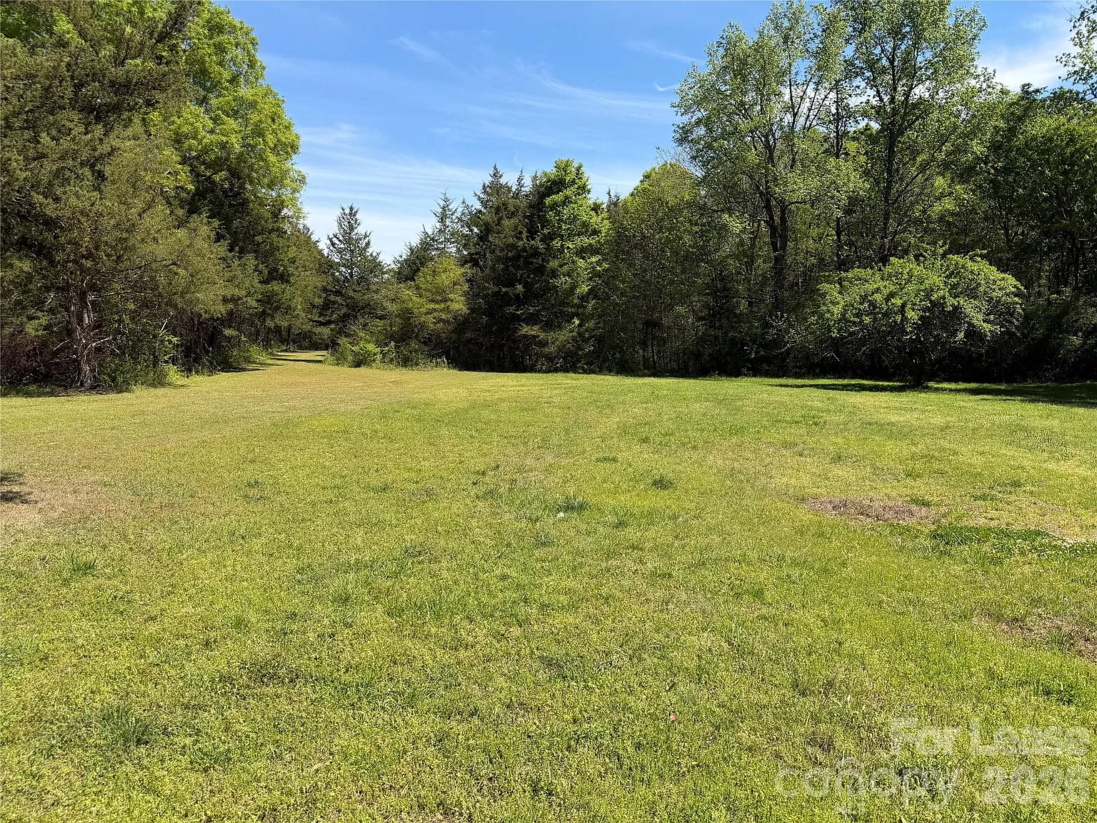 1 bed, 2.0 bath, $1,500 — Photo 2