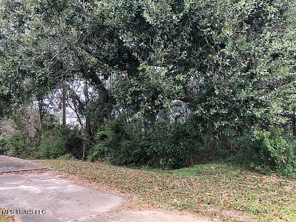 2nd image of Biglin Bayou Dr Lot 60