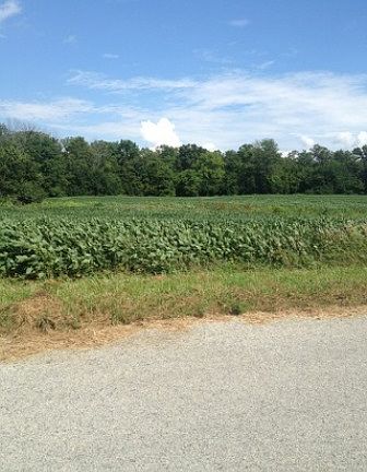 2nd image of 0 Gasper Road