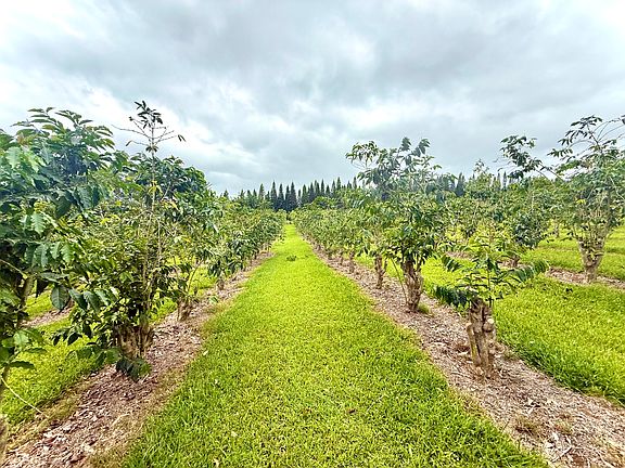 2nd image of 96-1970 Kumupea Rd Lot 65