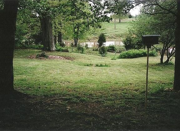 View Back Yard