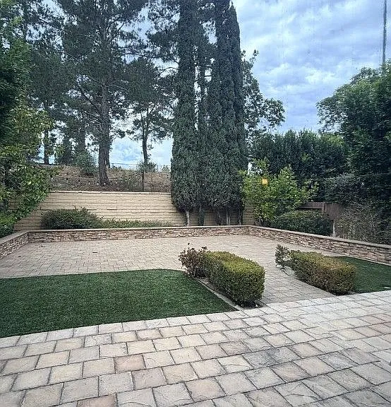 27331 Pinavete — Photo 4