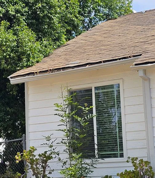 3368 Strong St — Photo 28