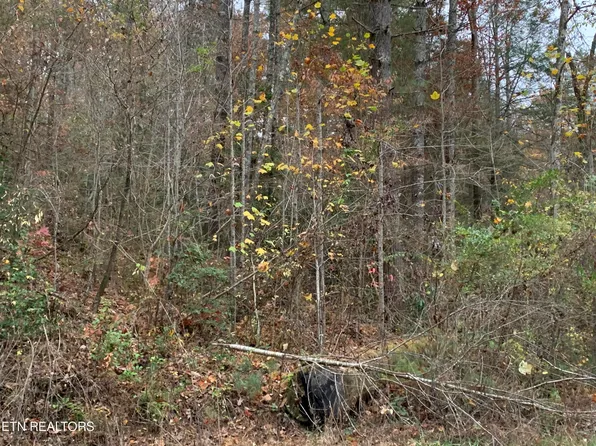 Dogwood Rd, Grandview, TN 37337