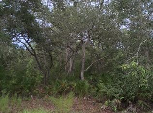 1005 Seminole Bear Trl, Pierson, FL 32180