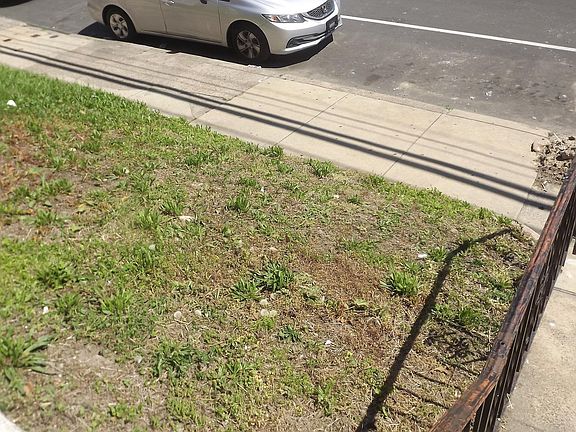 5th image of 6543 Buist Ave