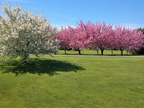 View from the front door