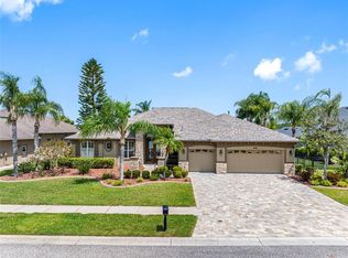 16529 Ivy Lake Dr, Odessa, FL 33556