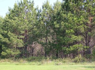 1020 Chesson Hill Dr, Fitzpatrick, AL 36029