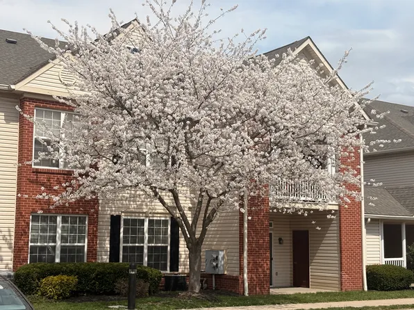 Henderson Square I & II