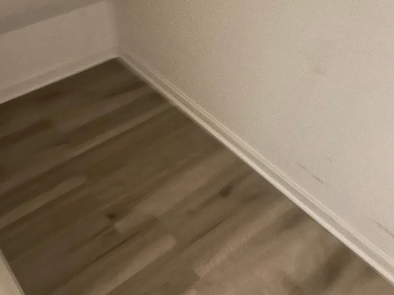 Storage Closet Under Stairs.