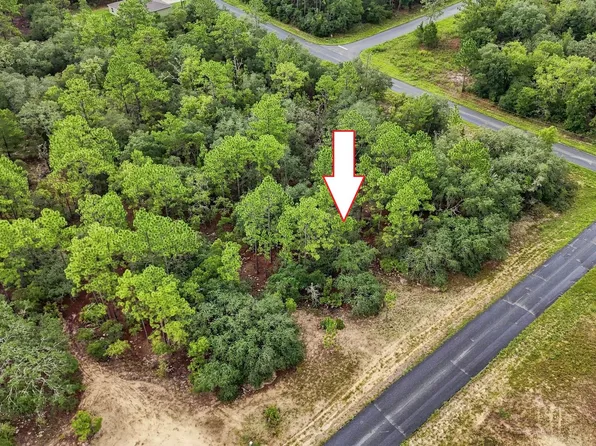 6599 N AIRMONT Drive, Dunnellon, FL 34433