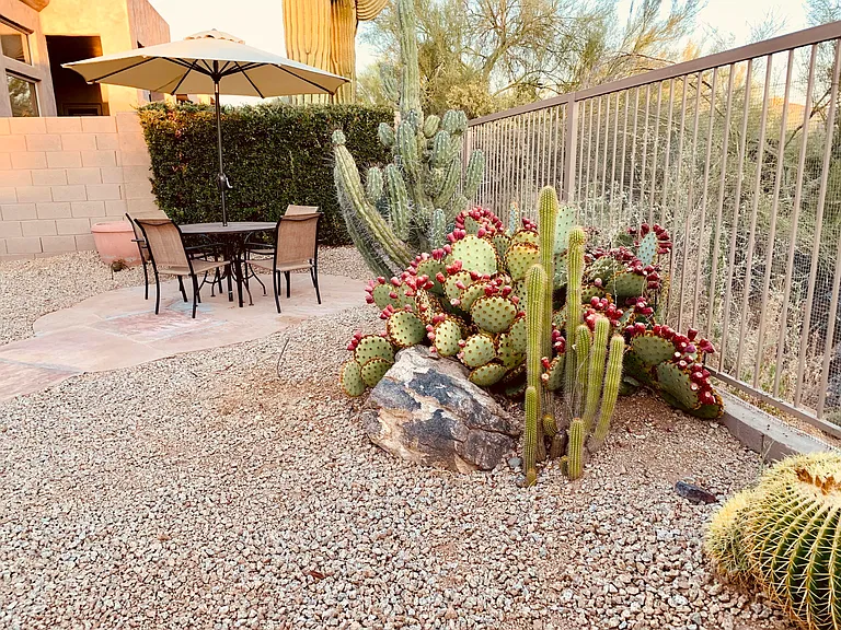 6925 E Sienna Bouquet Pl — Photo 32