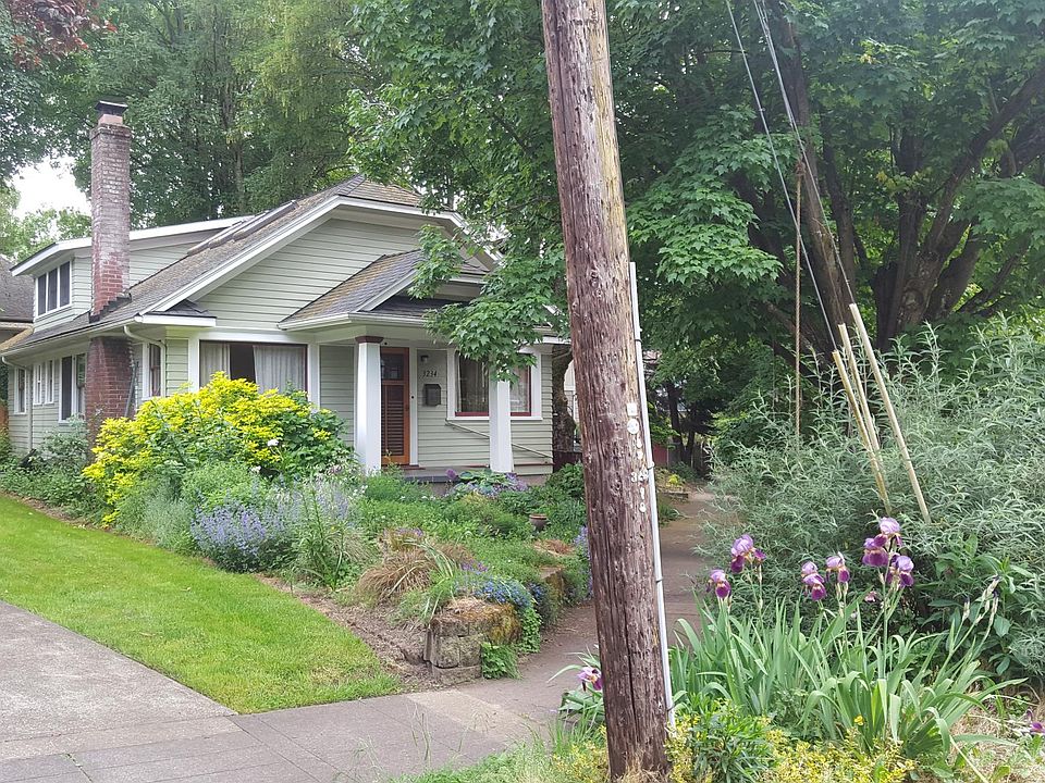 Front yard and front of house