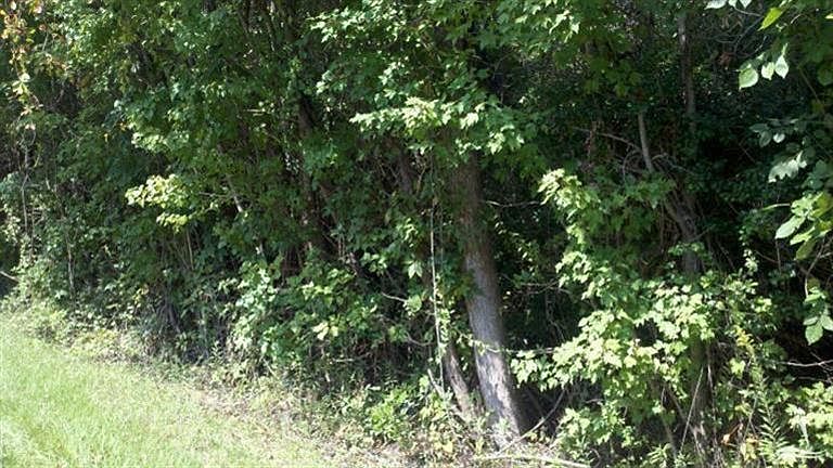 2nd image of Woodard Road NW LOT 2