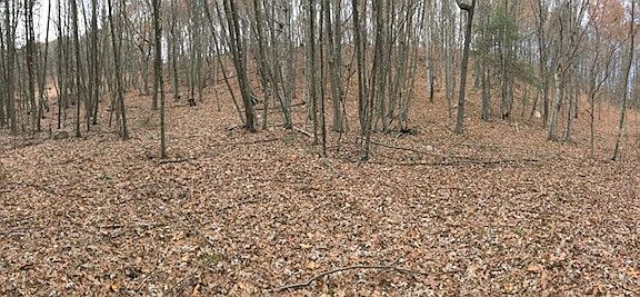2nd image of 417 Curtis Ln