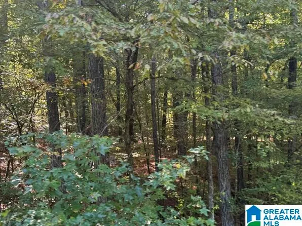 8155 Birmingport Rd #0, Mulga, AL 35118