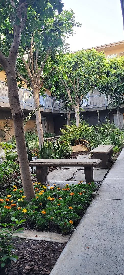 2 bed, 1200 sqft, $2,850 — Photo 2