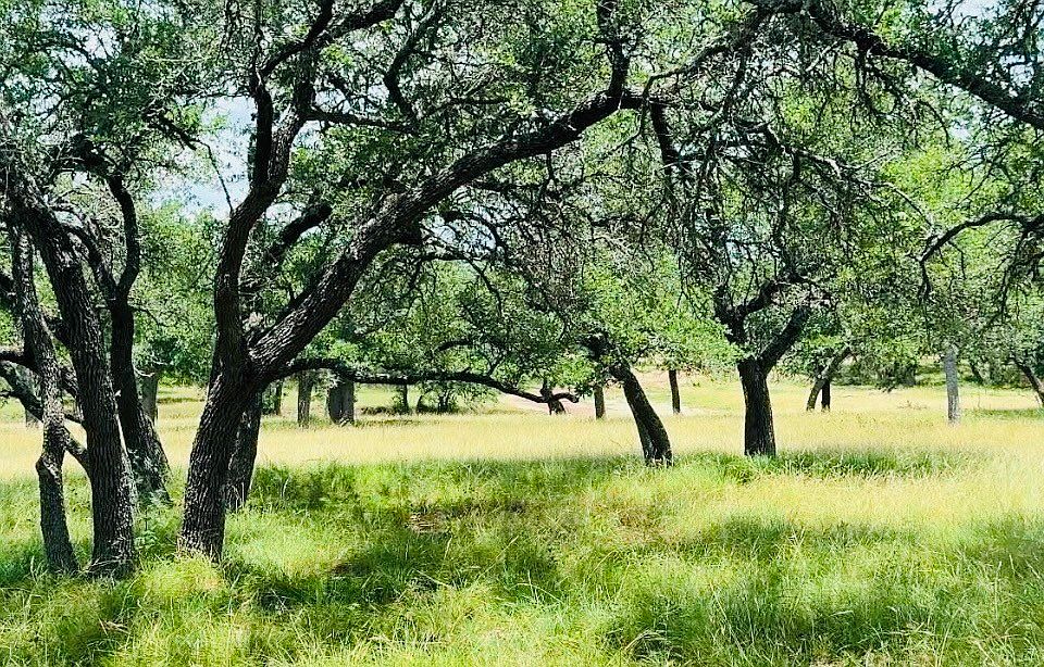 1st image of LOT 26 Swiss Ranch Rd