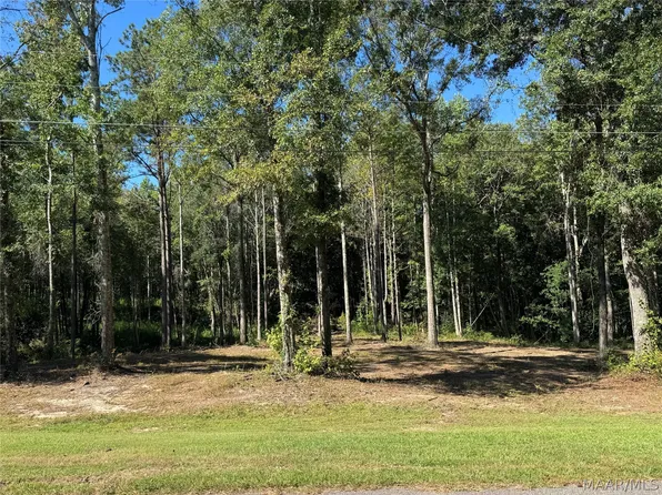 LOT 30 Brookley Dr, Eclectic, AL 36024