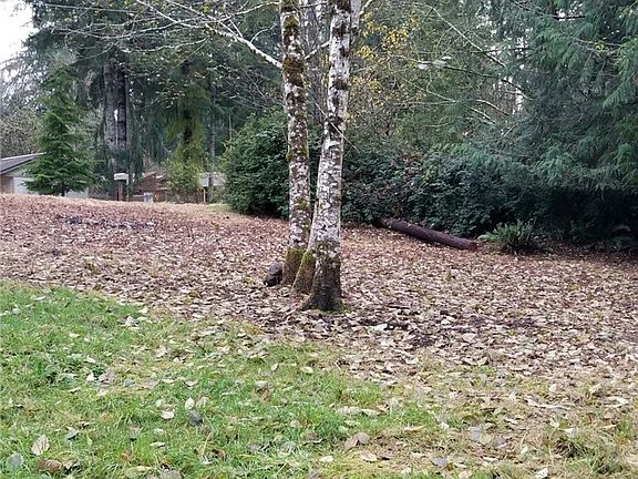 A mostly level lot with some trees and a slope at the back.