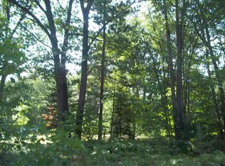 4617 Lanai Dr, Indian River, MI 49749