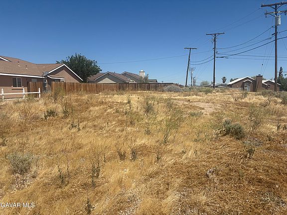 5th image of Lime Ave