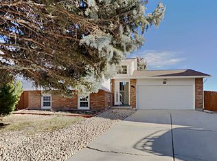 4711 E 107th Pl, Thornton, CO 80233