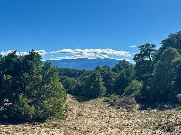 36 AC Elk Park Road, San Luis, CO 81152