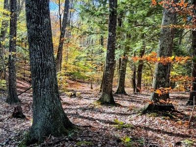 29&31 White Brook Road, Gilsum, NH, 03448