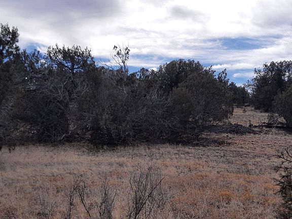 4th image of 54832 N Via De Oro Pkwy