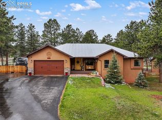 1198 Ptarmigan Dr, Woodland Park, CO 80863
