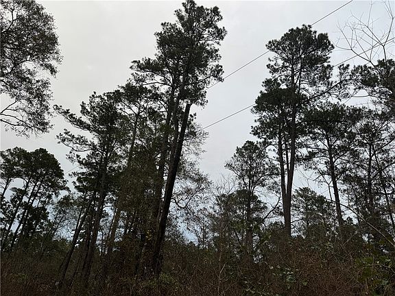 4th image of 13475 White Oak Dr