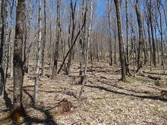 5th image of 6181 Cass Rd