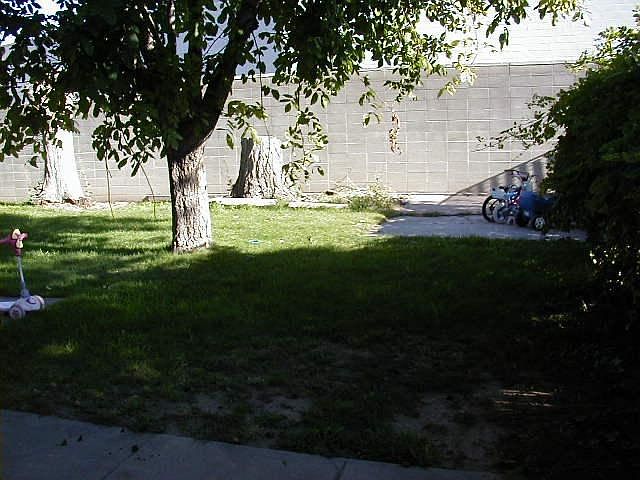 back yard looking East
